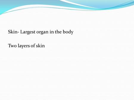 Skin- Largest organ in the body Two layers of skin.
