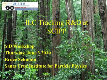 ILC Tracking R&D at SCIPP SiD Workshop Thursday, June 3 2010 Bruce Schumm Santa Cruz Institute for Particle Physics.