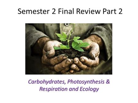 Semester 2 Final Review Part 2 Carbohydrates, Photosynthesis & Respiration and Ecology.