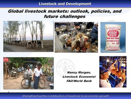 1 Global livestock markets: outlook, policies, and future challenges Nancy Morgan, Livestock Economist FAO/World Bank.
