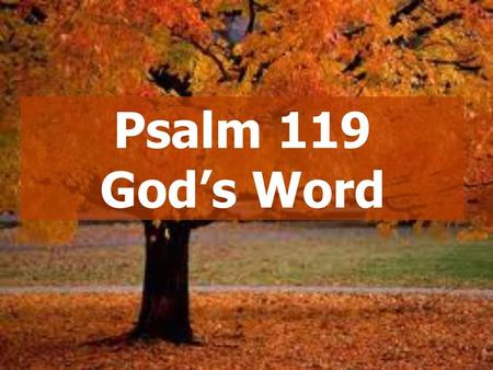Psalm 119 God’s Word.