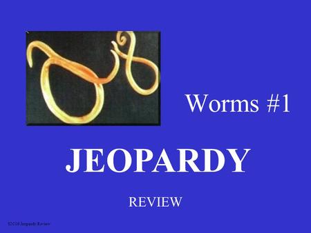 Worms #1 REVIEW JEOPARDY S2C06 Jeopardy Review Flatworms Segmented worms Roundworms Body parts Body parts Life cycles 100 200 300 400 500.