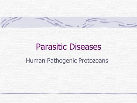 Parasitic Diseases Human Pathogenic Protozoans. “First Animal” Amoebas Move by pseudopods Cyst  trophozoite Flagellates Move by flagella Cyst  trophozoite.
