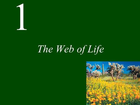 1 The Web of Life. Chapter 1 The Web of Life CONCEPT 1.1 Events in the natural world are interconnected. CONCEPT 1.2 Ecology is the scientific study of.