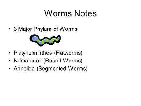 Worms Notes 3 Major Phylum of Worms Platyhelminthes (Flatworms) Nematodes (Round Worms) Annelida (Segmented Worms)
