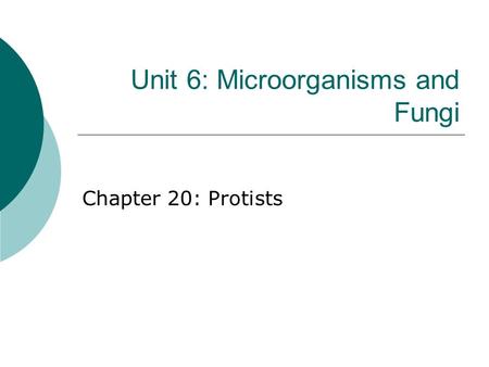 Unit 6: Microorganisms and Fungi Chapter 20: Protists.
