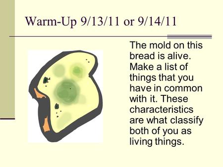 Warm-Up 9/13/11 or 9/14/11 The mold on this bread is alive. Make a list of things that you have in common with it. These characteristics are what classify.