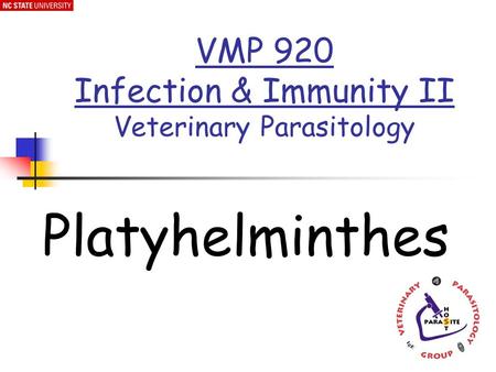Platyhelminthes VMP 920 Infection & Immunity II Veterinary Parasitology.