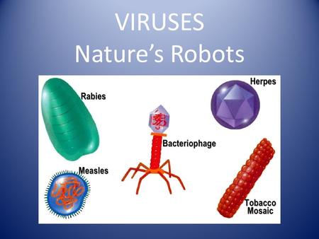 VIRUSES Nature’s Robots