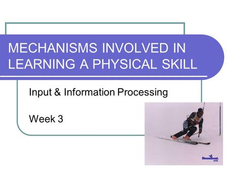 MECHANISMS INVOLVED IN LEARNING A PHYSICAL SKILL Input & Information Processing Week 3.