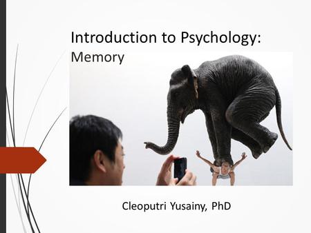 Introduction to Psychology: Memory Cleoputri Yusainy, PhD.