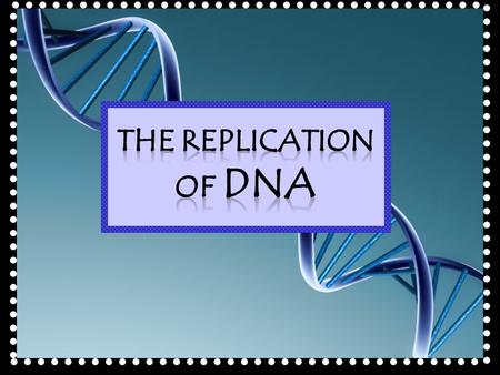Today you will… Explain the process of DNA replication. Identify the specific roles of the enzymes and proteins involved in DNA replication.