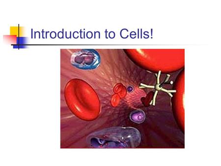 Introduction to Cells!.