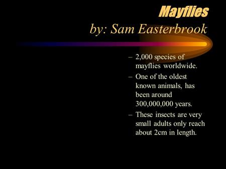 Mayflies by: Sam Easterbrook –2,000 species of mayflies worldwide. –One of the oldest known animals, has been around 300,000,000 years. –These insects.