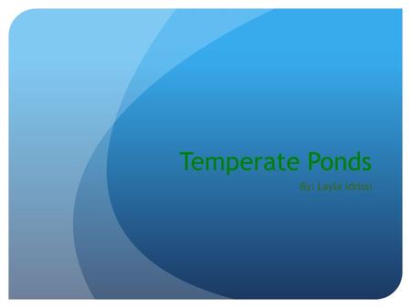 Temperate Ponds By: Layla Idrissi. What is a temperate pond? A temperate pond is a well-filtered pond. Many animals and plants live in a temperate pond.