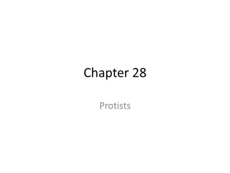 Chapter 28 Protists. Ancestors to modern protists, plants, animals and fungi. Oldest known are 2.1 billion years old (acritarchs). – Most DIVERSE eukaryotes.