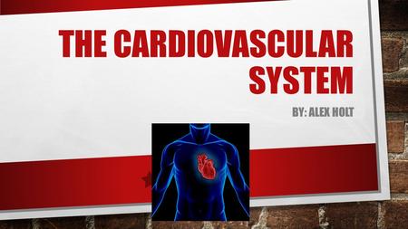THE CARDIOVASCULAR SYSTEM BY: ALEX HOLT. MAJOR COMPONENTS THE CARDIOVASCULAR SYSTEM HEART BLOOD VESSELS BLOOD.