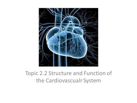 Topic 2.2 Structure and Function of the Cardiovascualr System.
