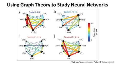 Using Graph Theory to Study Neural Networks (Watrous, Tandon, Conner, Pieters & Ekstrom, 2012)