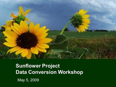 Sunflower Project Data Conversion Workshop May 5, 2009.