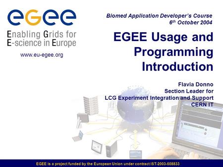 EGEE is a project funded by the European Union under contract IST-2003-508833 EGEE Usage and Programming Introduction Flavia Donno Section Leader for LCG.
