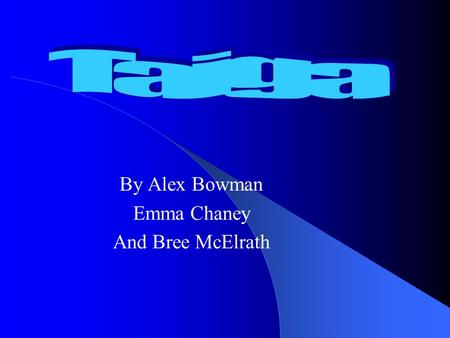 By Alex Bowman Emma Chaney And Bree McElrath. Taiga Characteristics Coniferous Forests.
