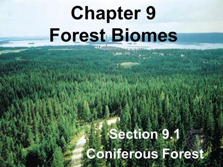 Section 9.1 Coniferous Forest