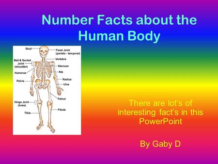 Number Facts about the Human Body There are lot’s of interesting fact’s in this PowerPoint By Gaby D.