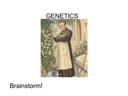 GENETICS Brainstorm!. c Mendel’s studies lead him to conclude that traits are passed on as distinct units (genes).