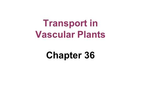 Chapter 36 Transport in Vascular Plants. Physical forces drive the transport of materials in plants over a range of distances Transport in vascular plants.