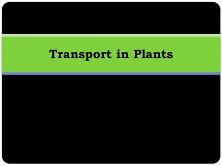 Transport in Plants. Learning Objectives Features of effective transport systems in plants. Nature of waste products and excretory mechanisms and systems.