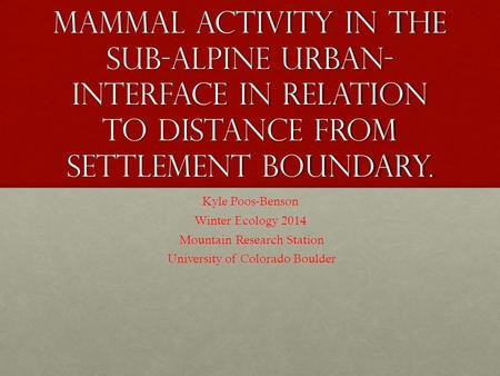 Mammal activity in the sub-alpine urban- interface in relation to distance from settlement boundary. Kyle Poos-Benson Winter Ecology 2014 Mountain Research.