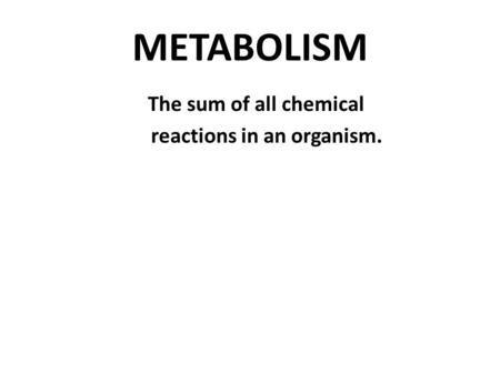 METABOLISM The sum of all chemical reactions in an organism.