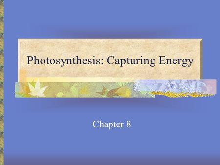 Photosynthesis: Capturing Energy Chapter 8. Light Composed of photons – packets of energy Visible light is a small part of the electromagnetic spectrum.