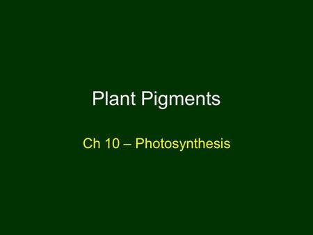 Plant Pigments Ch 10 – Photosynthesis.