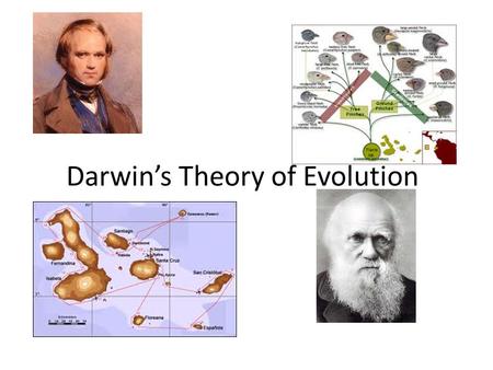Darwin’s Theory of Evolution. Historical Context (early 1800s) Aristotle, Judeo-Christian culture, book of Genesis… – The earth is only 6000 years old.