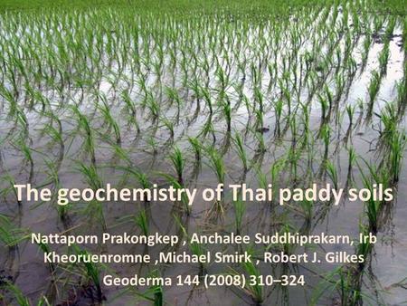 The geochemistry of Thai paddy soils