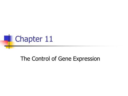 Chapter 11 The Control of Gene Expression. To Clone or Not to Clone repairstemcell.files.wordpress.com - Began in 1950’s - Dolly (1997) - proposed for.