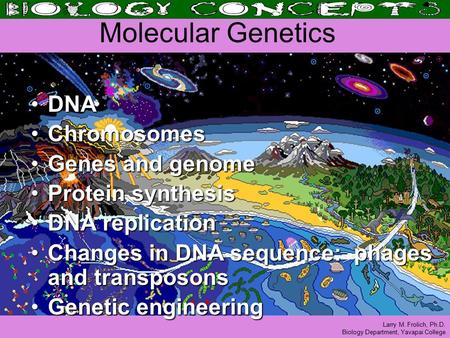 Larry M. Frolich, Ph.D. Biology Department, Yavapai College Molecular Genetics DNADNA ChromosomesChromosomes Genes and genomeGenes and genome Protein synthesisProtein.