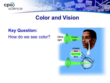 Color and Vision Key Question: How do we see color?