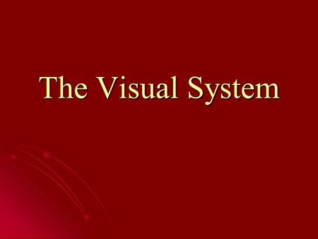The Visual System. The Awareness Test Just for fun, let’s test your awareness of your surroundings…