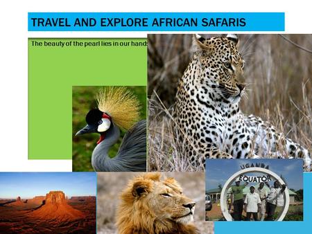 TRAVEL AND EXPLORE AFRICAN SAFARIS The beauty of the pearl lies in our hands.