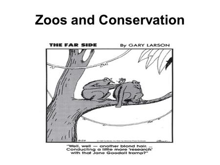 Zoos and Conservation.  The role of the zoo has evolved to prioritize research, education, and conservation  Some people still condemn the existence.