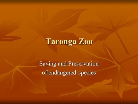 Taronga Zoo Saving and Preservation of endangered species.