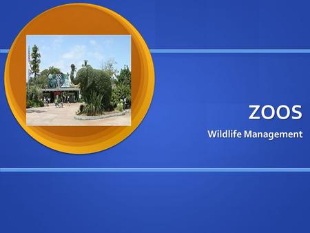 ZOOS Wildlife Management.