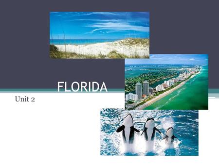 FLORIDA Unit 2. Panhandle Region North Florida West/Gulf Coast East/Atlant ic Coast South Florida Florida Keys Regions of Florida.