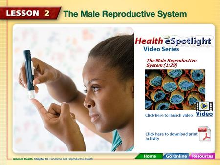 The Male Reproductive System (1:29)