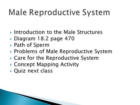  Introduction to the Male Structures  Diagram 18.2 page 470  Path of Sperm  Problems of Male Reproductive System  Care for the Reproductive System.