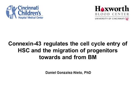 Connexin-43 regulates the cell cycle entry of HSC and the migration of progenitors towards and from BM Daniel Gonzalez-Nieto, PhD.