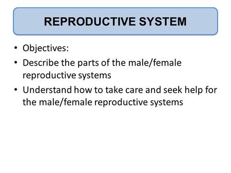 P REPRODUCTIVE SYSTEM Objectives: